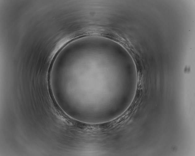 X0000090890099200707271340