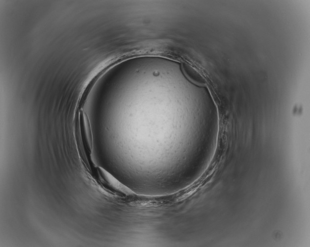 X0000090890100200707271340