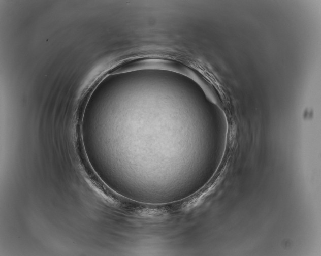 X0000090890101200707271340