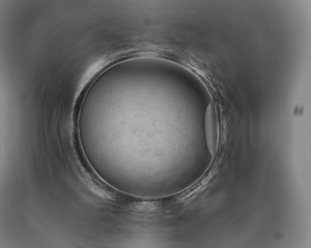 X0000090890102200707271340