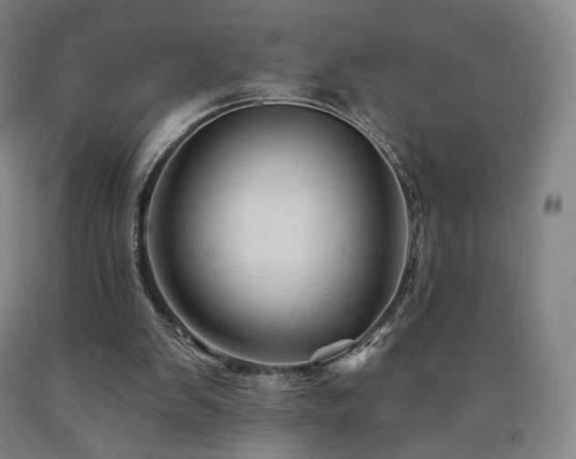 X0000090890103200707271340