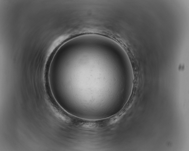 X0000090890104200707271340