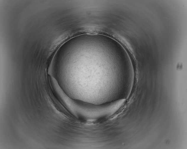 X0000090890105200707271340