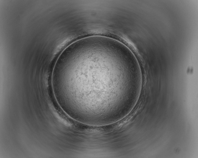 X0000090890106200707271340