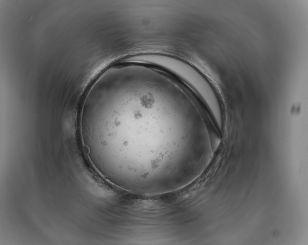 X0000090890107200707271340