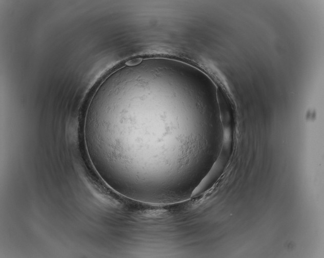 X0000090890108200707271340