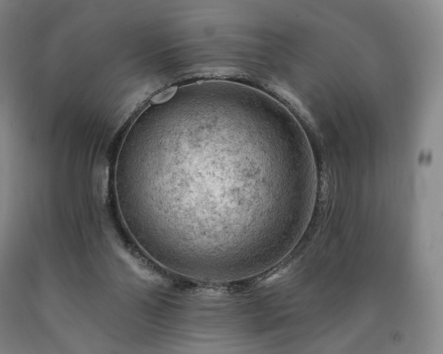 X0000090890110200707271340