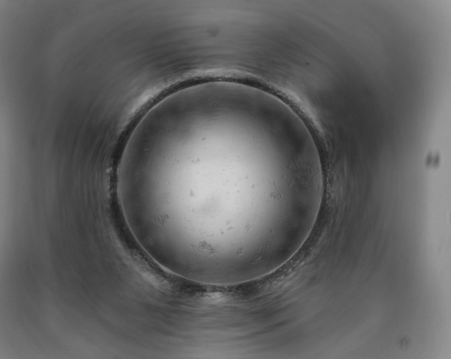 X0000090890111200707271340