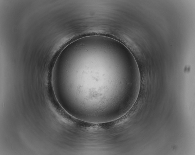 X0000090890112200707271340