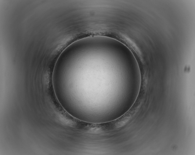 X0000090890113200707271340