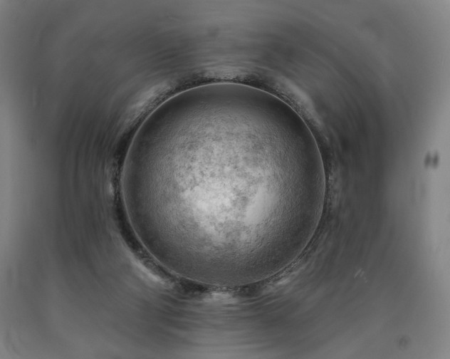 X0000090890114200707271340