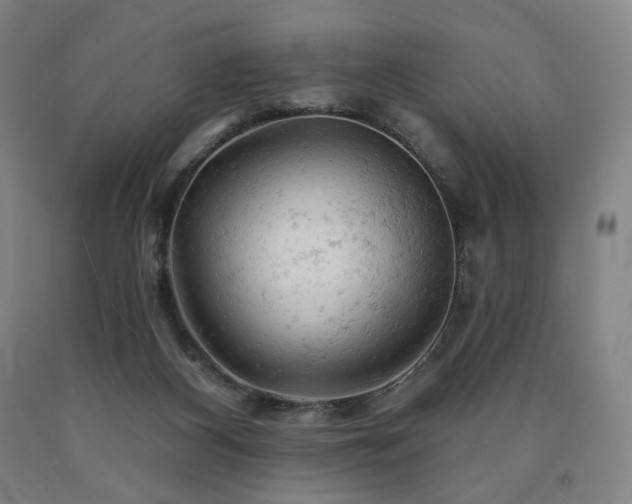 X0000090890116200707271340