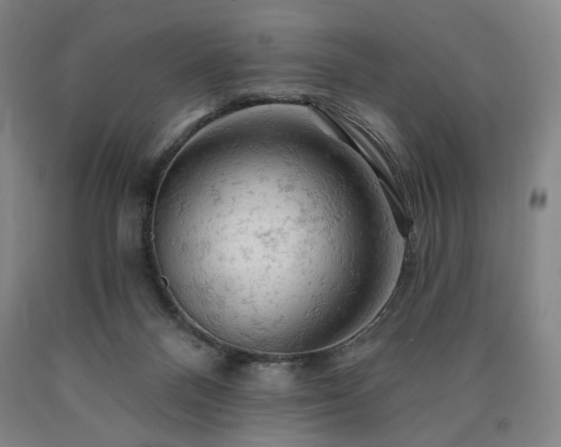 X0000090890120200707271340