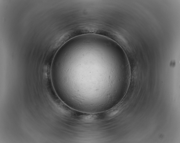 X0000090890122200707271340