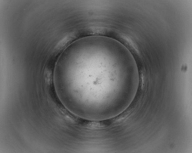 X0000090890123200707271340