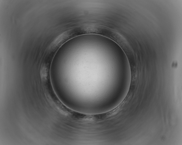 X0000090890124200707271340