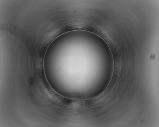 X0000090890126200707271340