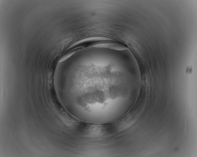 X0000090890127200707271340