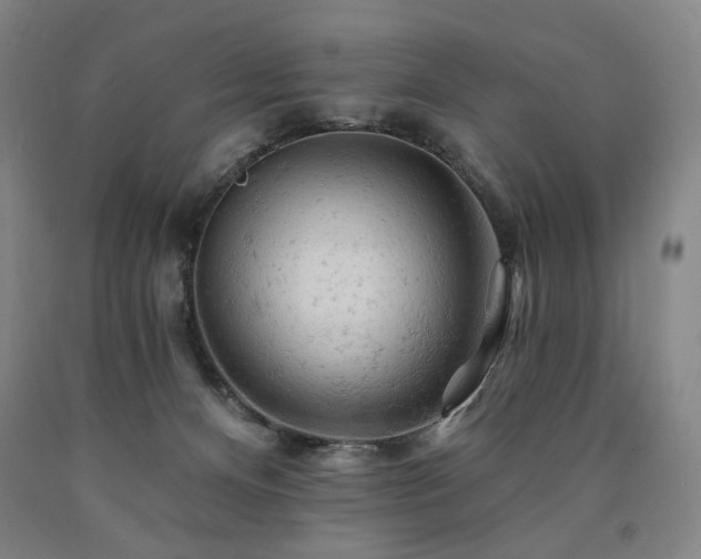 X0000090890128200707271340