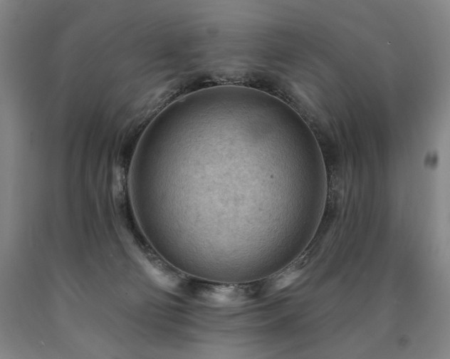 X0000090890130200707271340