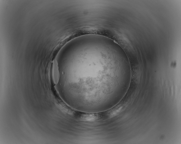 X0000090890131200707271340