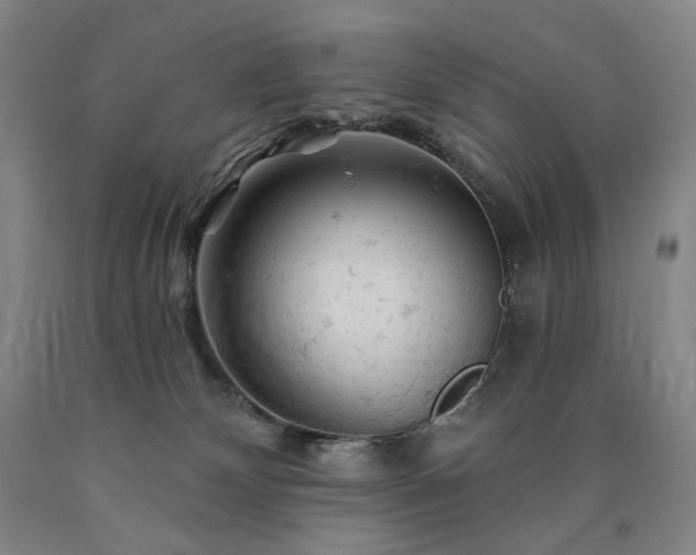 X0000090890132200707271340