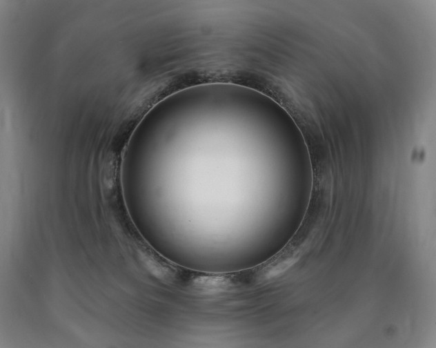 X0000090890133200707271340