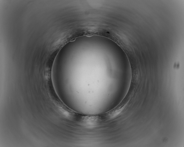 X0000090890135200707271340