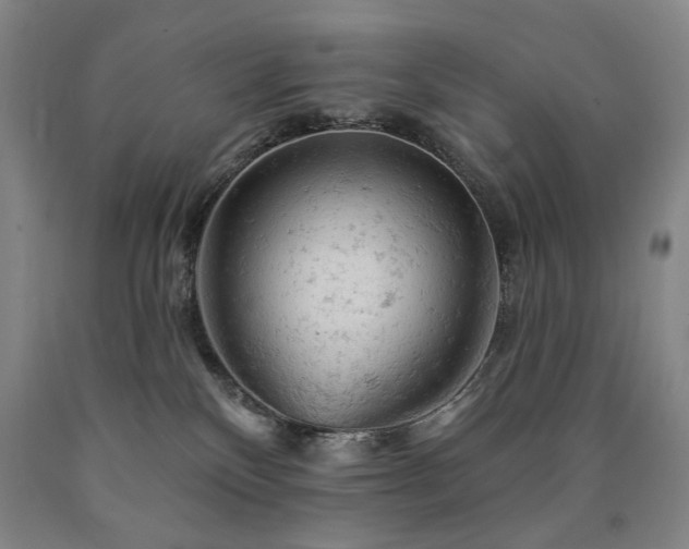 X0000090890136200707271340