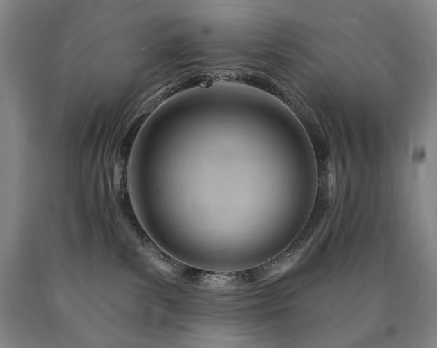 X0000090890139200707271340