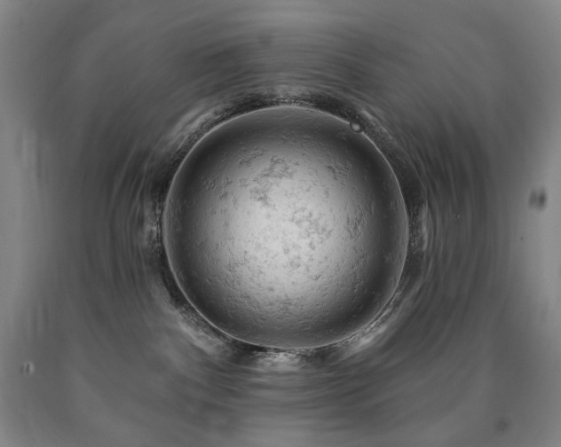 X0000090890140200707271340