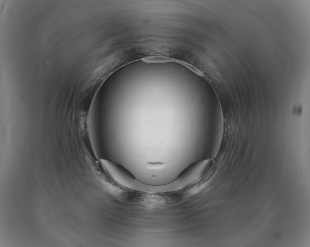 X0000090890141200707271340