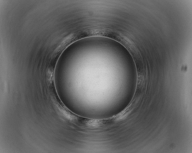 X0000090890142200707271340