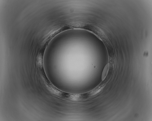 X0000090890143200707271340