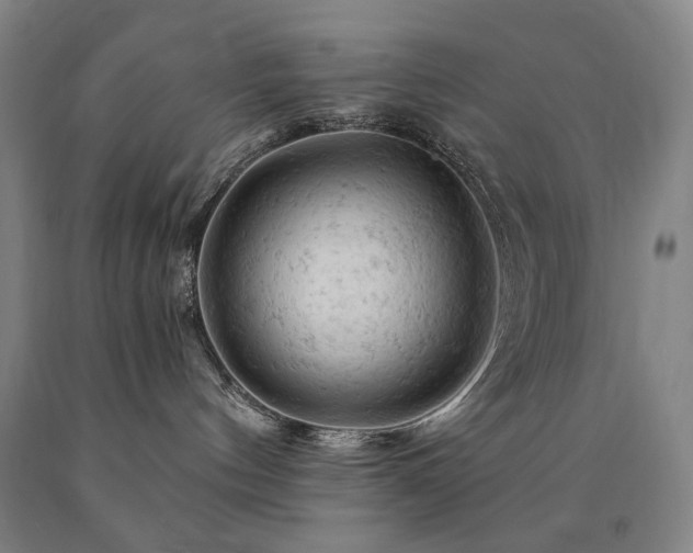 X0000090890144200707271340