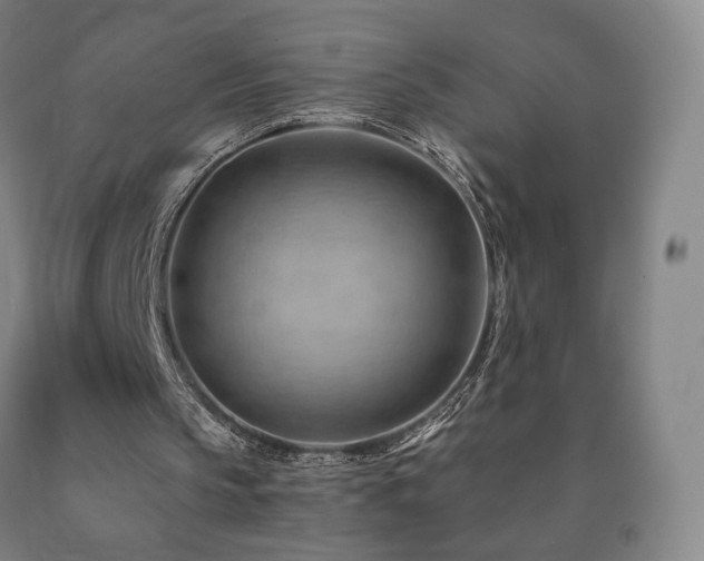 X0000090890145200707271339