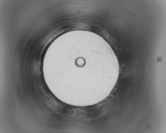 X0000090890146200707271339