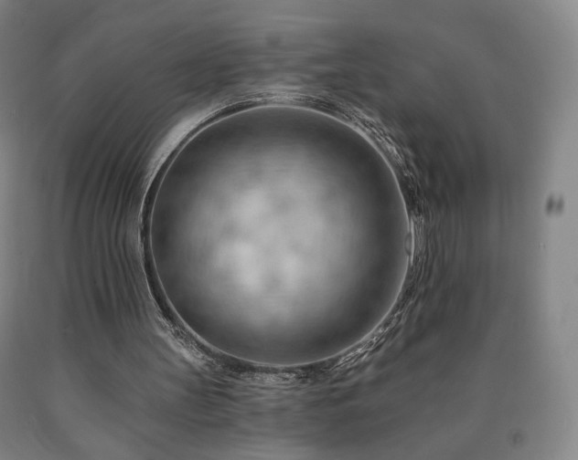 X0000090890147200707271339