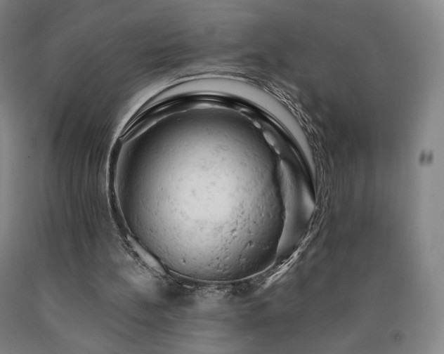 X0000090890148200707271339