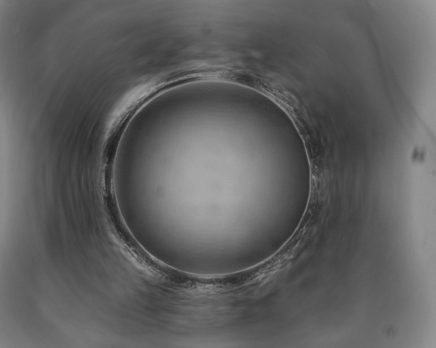 X0000090890149200707271339