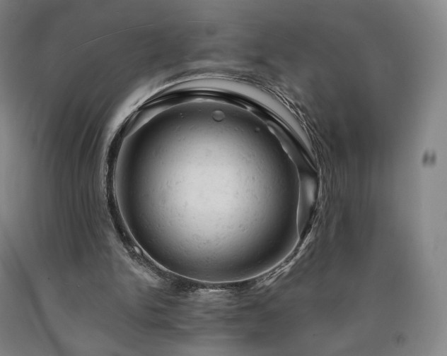 X0000090890150200707271339