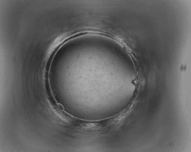 X0000090890151200707271339