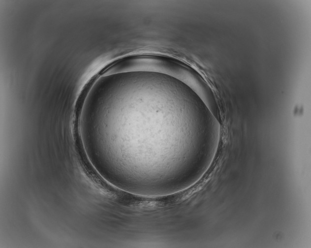 X0000090890152200707271339