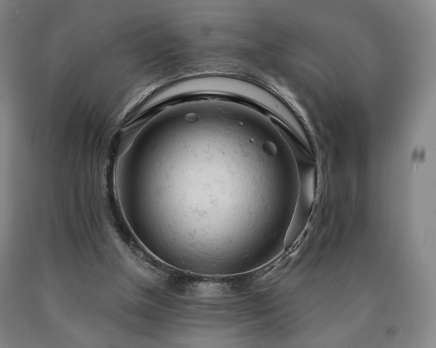 X0000090890154200707271339