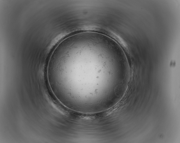 X0000090890155200707271339