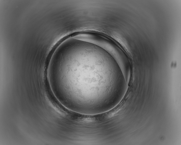 X0000090890156200707271339