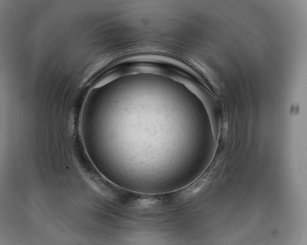 X0000090890158200707271339