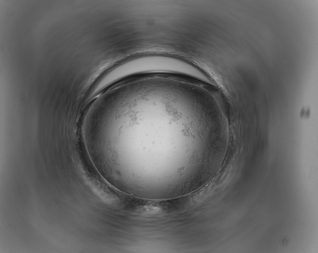 X0000090890159200707271339