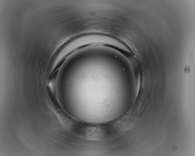 X0000090890160200707271339