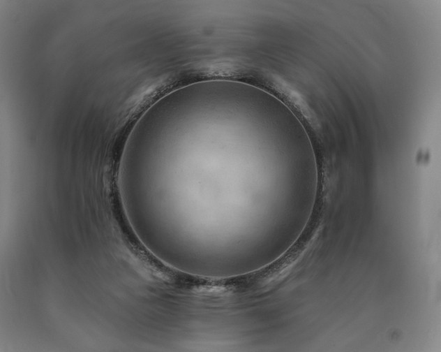 X0000090890161200707271339